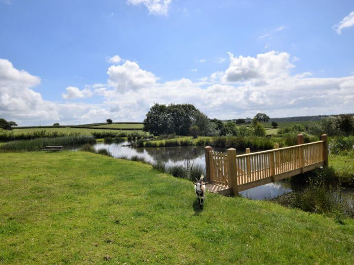 Views towards the cottage with enclosed patio area.