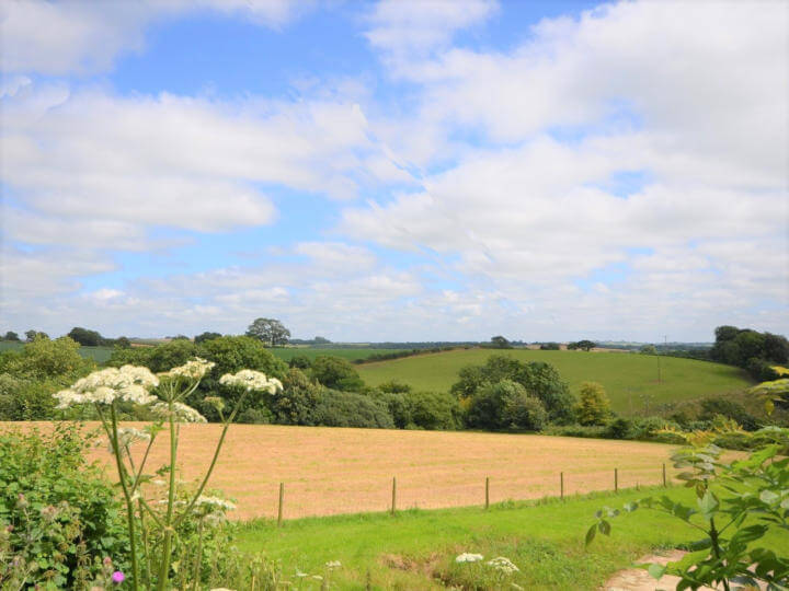 Views towards the cottage with enclosed patio area.