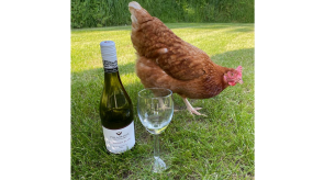 Chicken_and_wine_photo.JPG